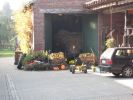 Herbstwanderung 2011_6