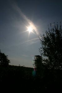 RFT 2010 - Peter Borsdorff_310