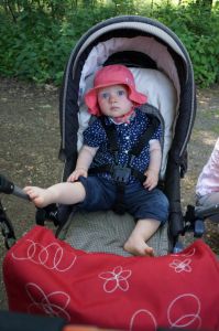 Vereinsmeisterschaft 2013