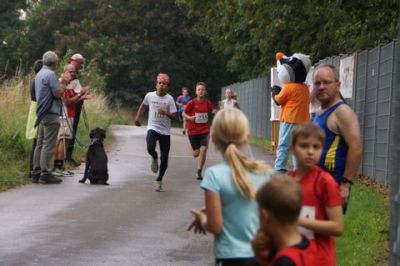 Monte Sophia XII_118