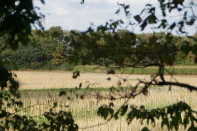 Monte Sophia XII_556