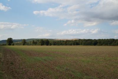 Monte Sophia XII_559