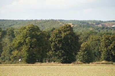 Monte Sophia XII_560