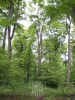 HAGL 2010_123
