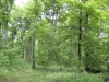 HAGL 2010_124