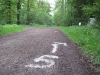 HAGL 2010_127