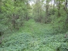 HAGL 2010_129