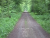 HAGL 2010_132