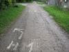 HAGL 2010_214