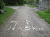 HAGL 2010_215