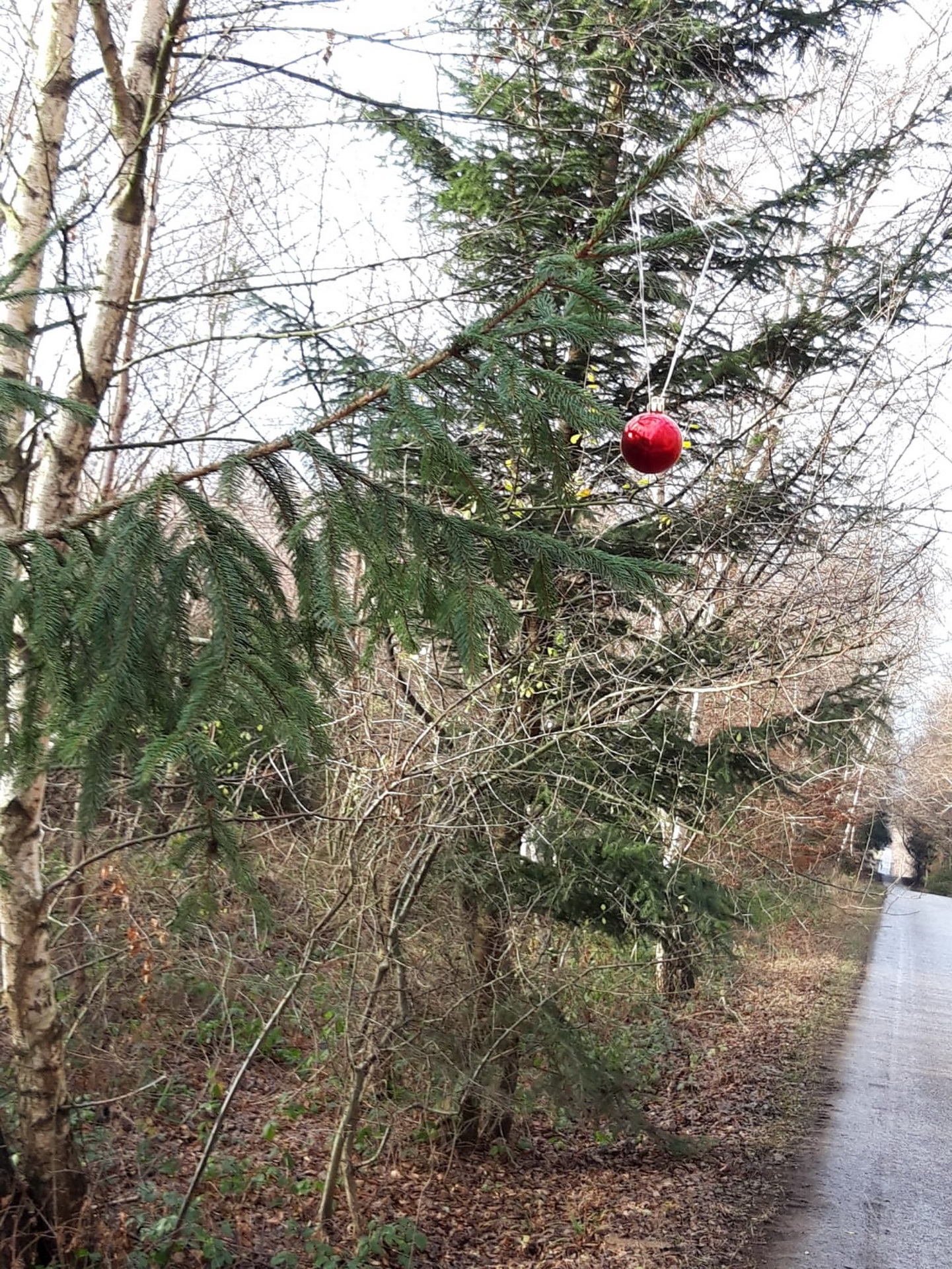 Noch eine Kugel in der Vorweihnachtszeit