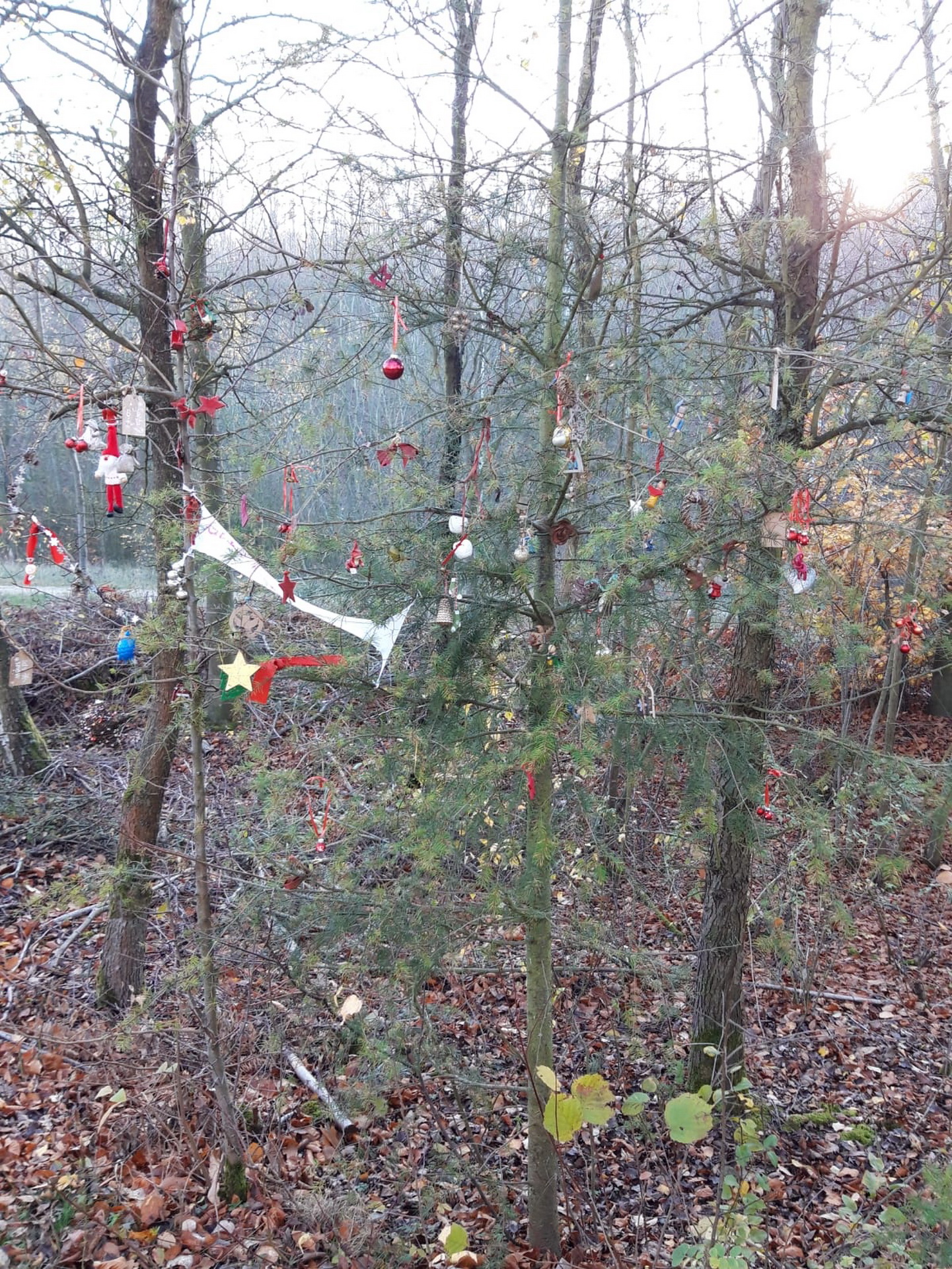 Weihnachtsschmuck auf der Sophienhoehe