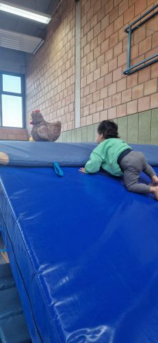 2026 eltern kind turnen klein 5